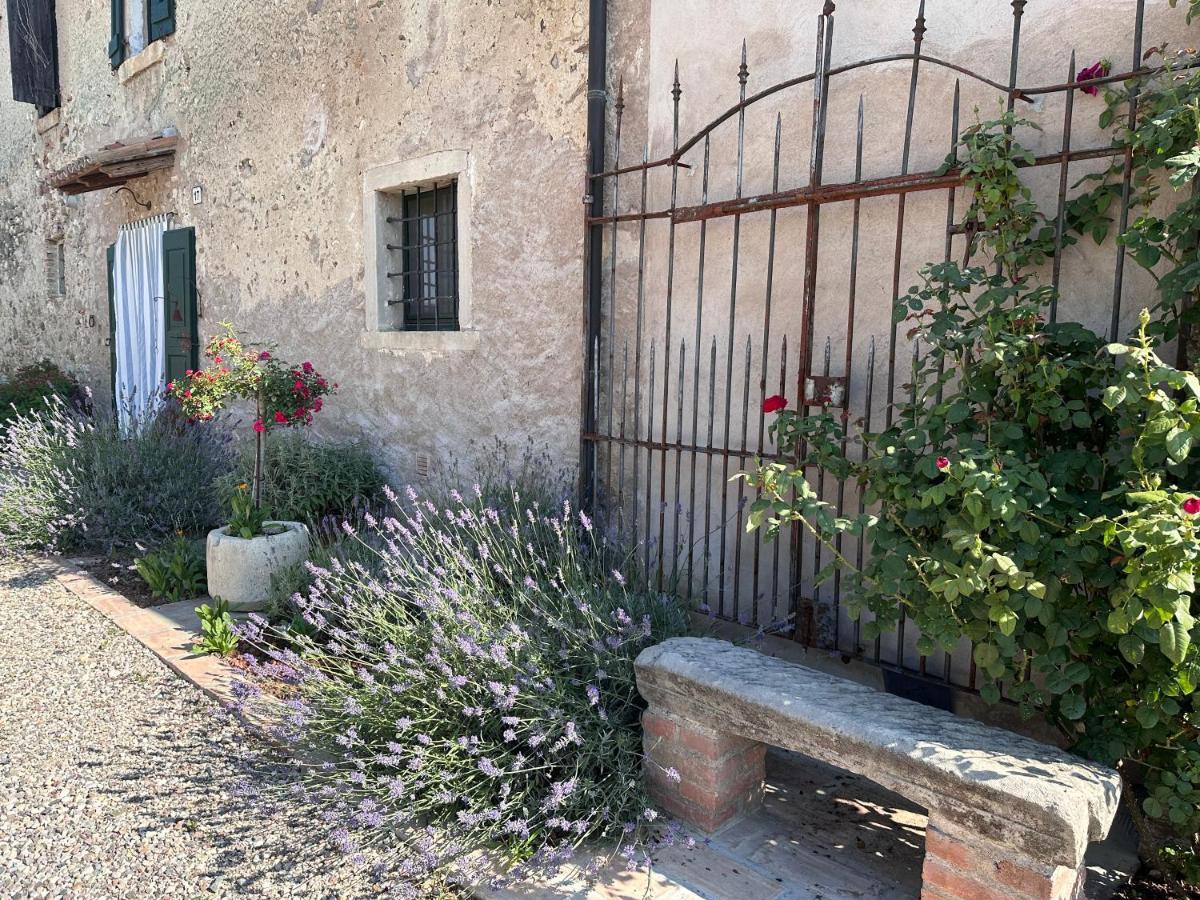 Ca Nova Agriturismo Castellaro  Exterior photo