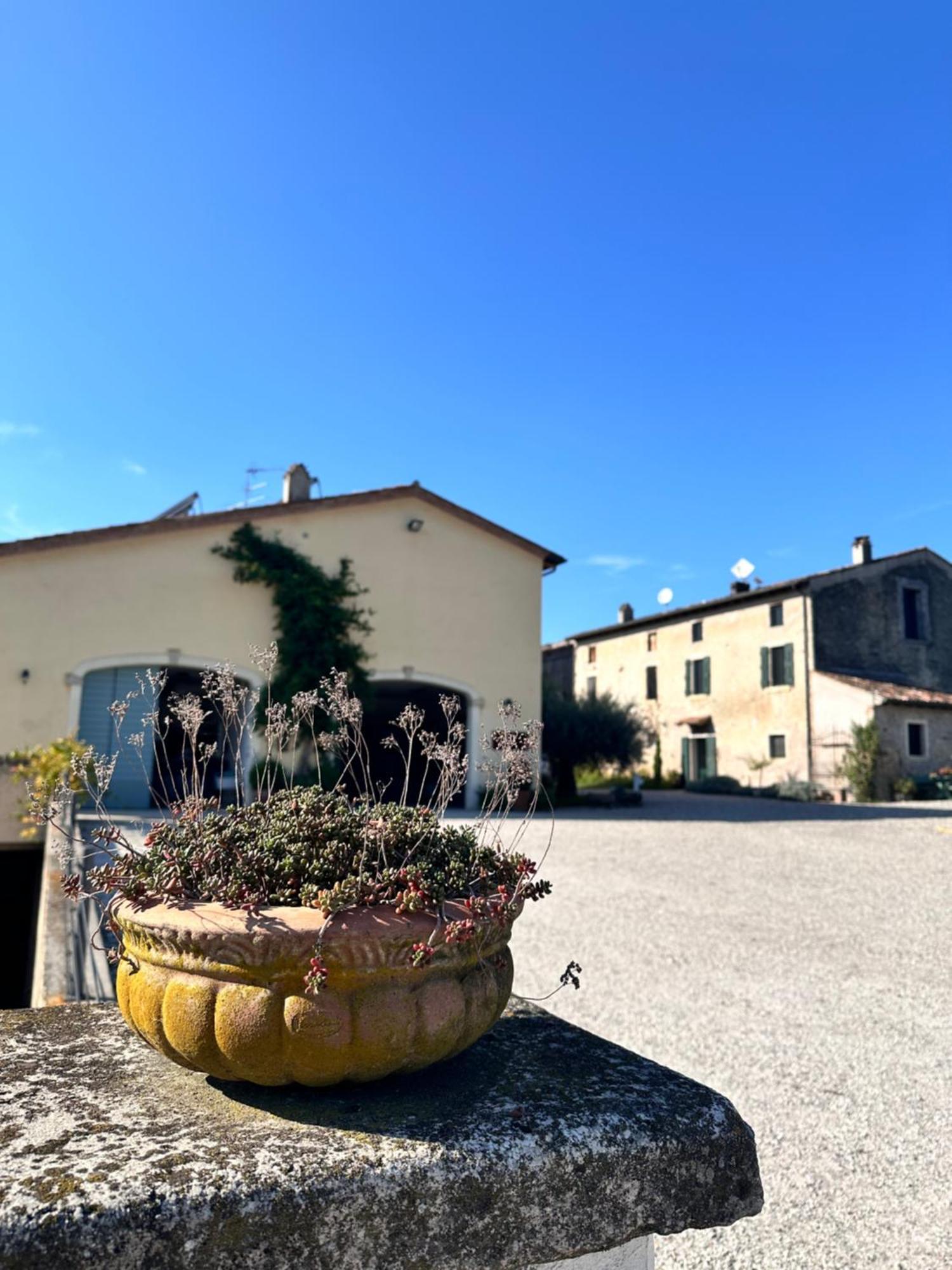 Ca Nova Agriturismo Castellaro  Exterior photo